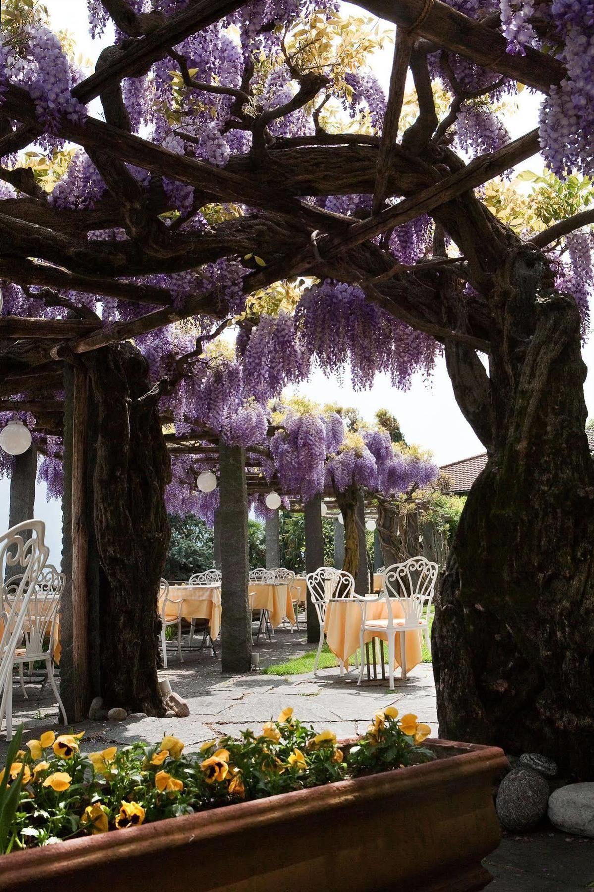 Hotel Ascona Ngoại thất bức ảnh